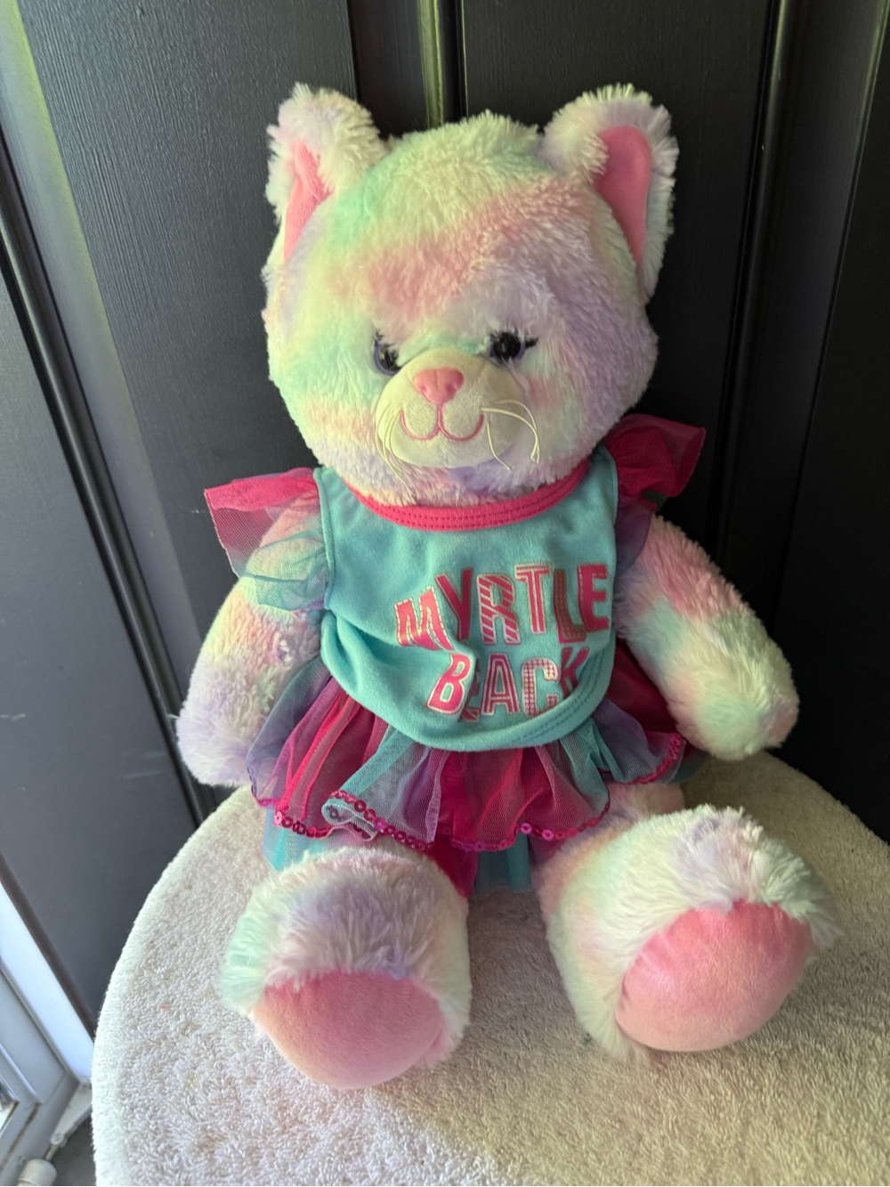 BAB Pastel Swirl Kitty with Destination Clothes